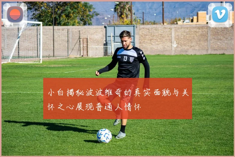 小白揭秘波波维奇的真实面貌与关怀之心展现普通人情怀